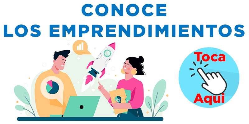 Emprendimientos en Mercado de Pulgas MX